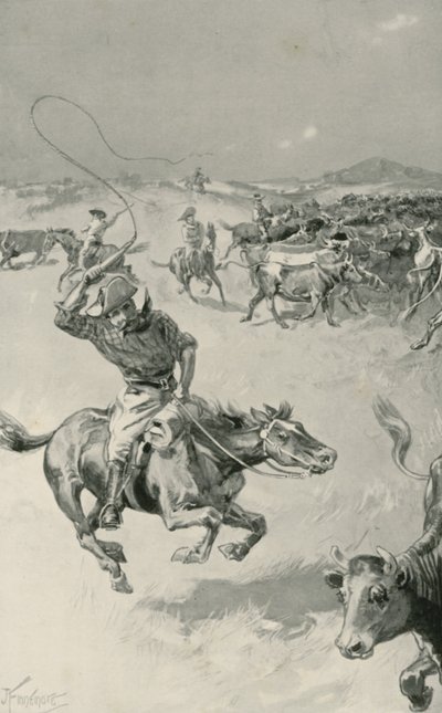 Cattle-Mustering in Queensland by Joseph Finnemore